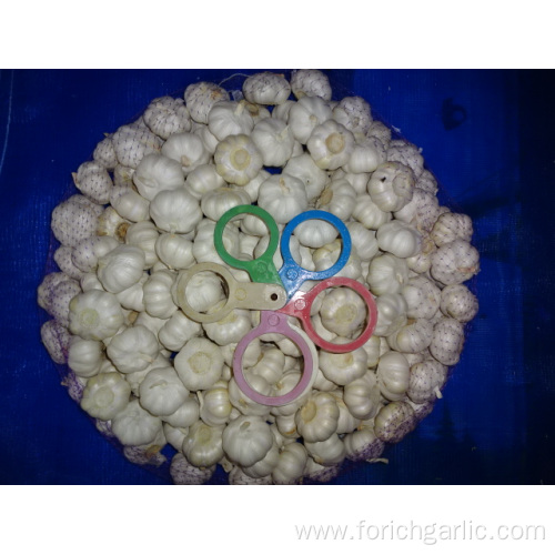 Best Quality Pure White Garlic